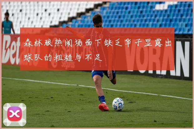森林狼热闹场面下缺乏华子显露出球队的粗糙与不足